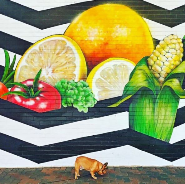 🌈 INSPIRATION 📸 Vous passez une mauvaise journée ? Ce compte Instagram tout en couleurs va vous redonner le sourire <a href="/walltraveled/">Wall Traveled</a>