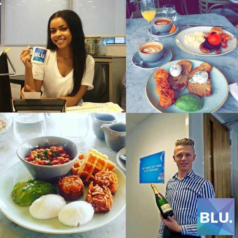 Blu Digital tweet media