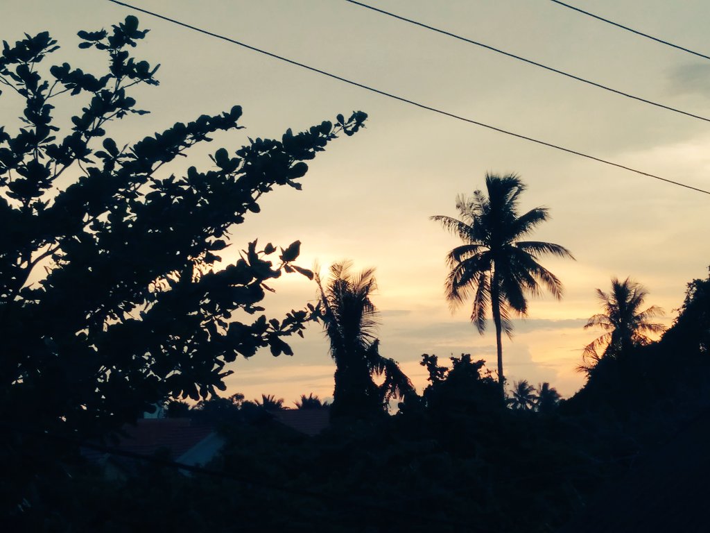 Senja d sore hari #canon

@iniuji 😍