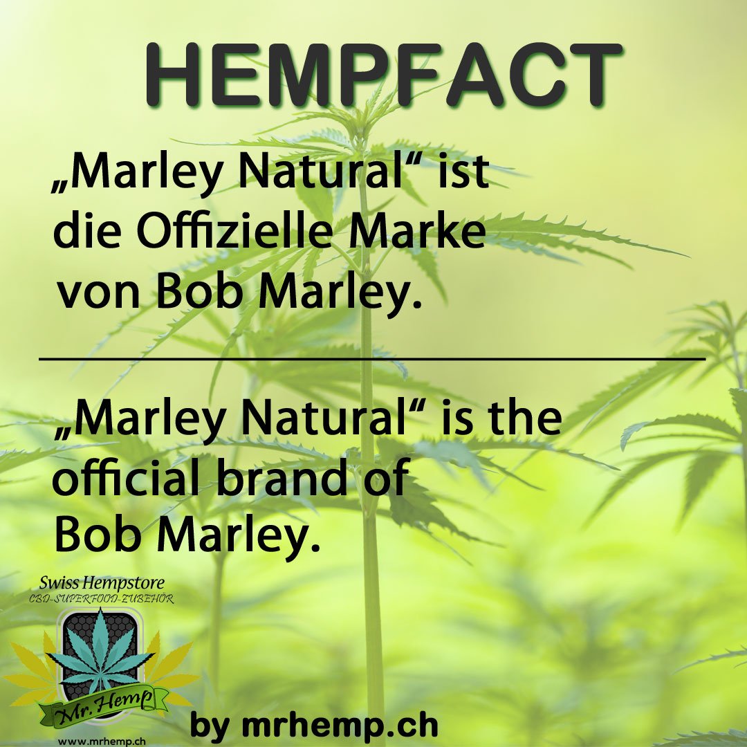 MrHempCH's tweet photo. !!#HEMPFACT!! #Spruch #Hanffeld #Buds #fakten #weed #Marley #CBD #Blüten #cannabis #hanf #instaweed #Ganja #Brand https://t.co/nelfcxQWyh https://t.co/3omhIH9ast