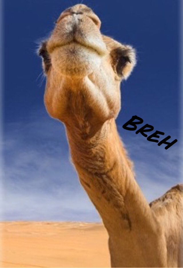 ZeroTweetz's tweet image. Dum Dee Doo just scrolling down some tweets... OH LOOK A NEW PHONE... b b but I d d don't meh don't like dis