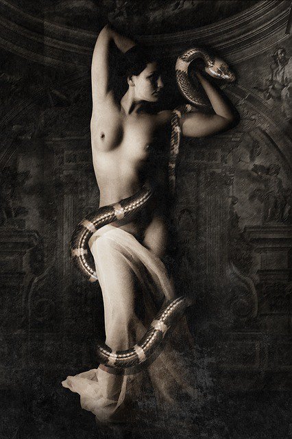 Rose69Willow's tweet photo. Photo By Comfreak | Pixabay 
 #eva #woman #naked #modelling #modellingagency #modellingshoot #modellingerie #modellingdays https://t.co/k6fzbgSdAh
