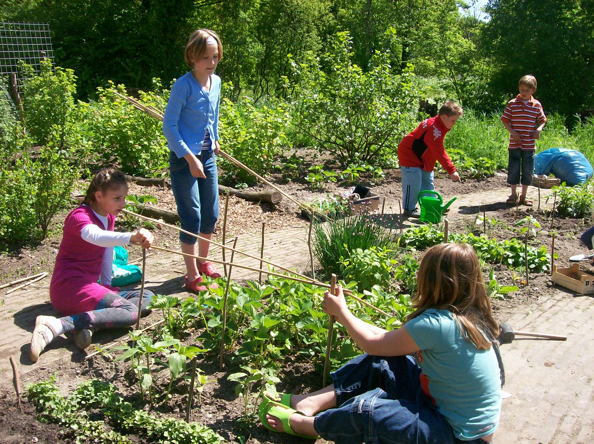 Heb je je al aangemeld voor de inspiratiedag rondom #groene en sociale initiatieven? 3 november @Amersfoort oranjefonds.nl/3november