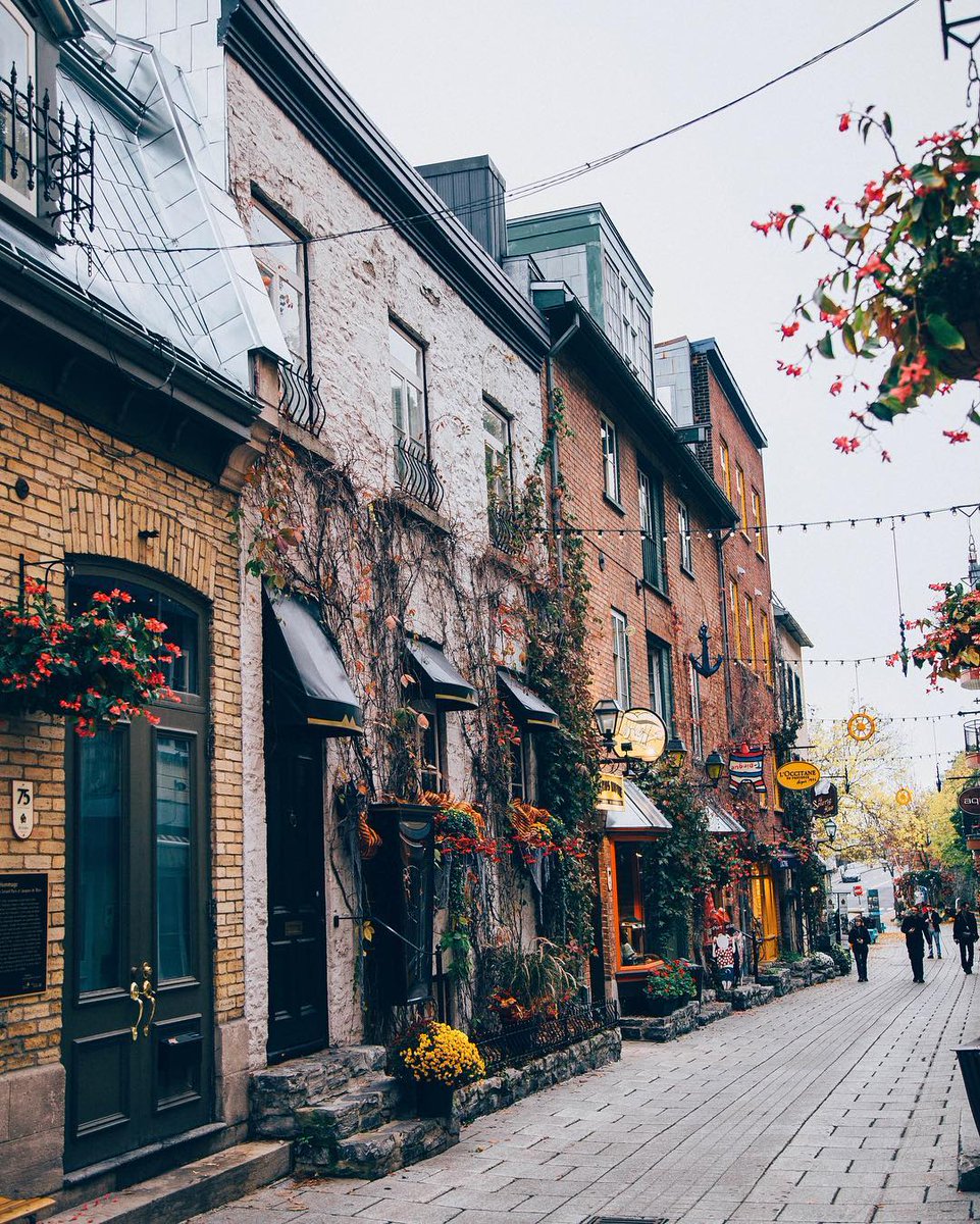 ExploreCanada's tweet photo. Quartier Petit Champlain is one of the most charming areas in Quebec City. 📷: vic_nkt/IG 📍: @quebecregion, @TourismeQuebec #ExploreCanada https://t.co/tLJEKDsSQn
