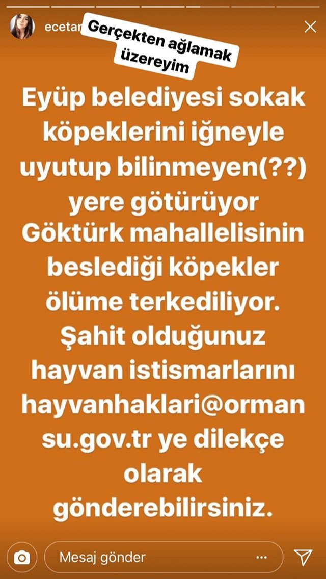 #EyupBelediyesiYaziklarOlsun #EyüpBelediyesi #eyüpbelediyesikatliamyapıyor