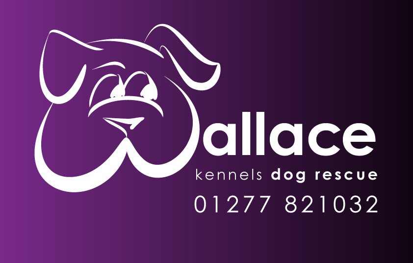 Wallace Kennels tweet media
