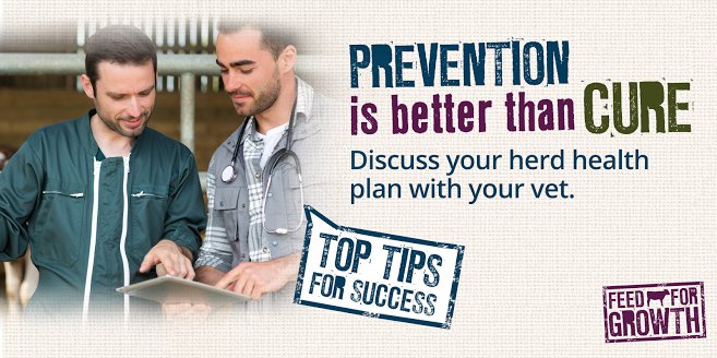 FeedForGrowth's tweet photo. #TopTip4 to prevent disease: Investigate! E.g. If you have an increase in scour or pneumonia cases.. Investigating sooner rather than later! https://t.co/bTdIoVZVk1