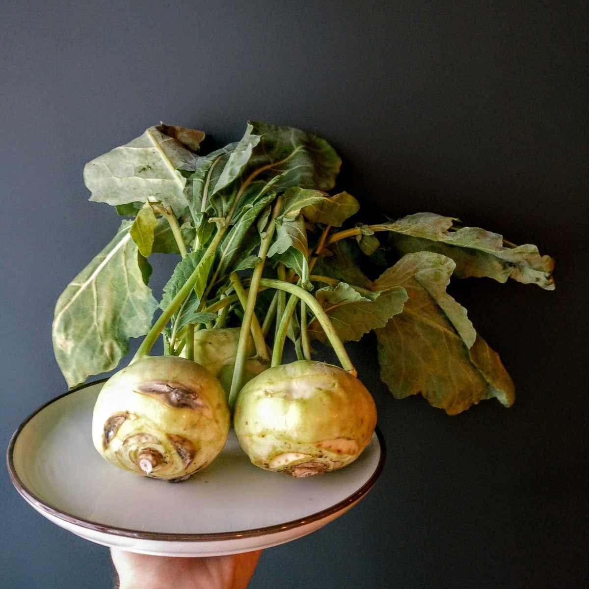 Legaleaglepub's tweet photo. #mutton #roastinaroll #kohlrabi #kohlrabislaw #nosetotailcooking #nosetotail #lunchindublin #d7 #lunch https://t.co/lea3aPfDYQ
