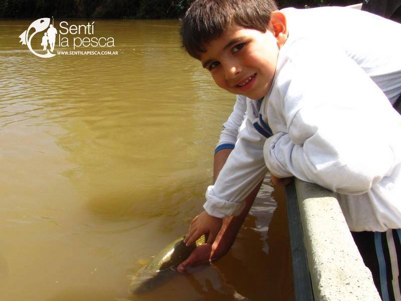 Sentilapesca's tweet photo. La #emoción de la #PrimeraVez que #pescas es #inolvidable!
Siempre recordaras a quien te enseñó a #pescar, y más si te enseño a #devolverlo https://t.co/KCosrBBsK8