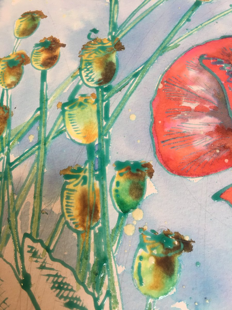 NavajoBirdsong's tweet photo. Working with #inks on #hotpressed paper fir a change- definite difference in how it takes the inks but making another #poppy #painting fun! https://t.co/lnswy6on1Q