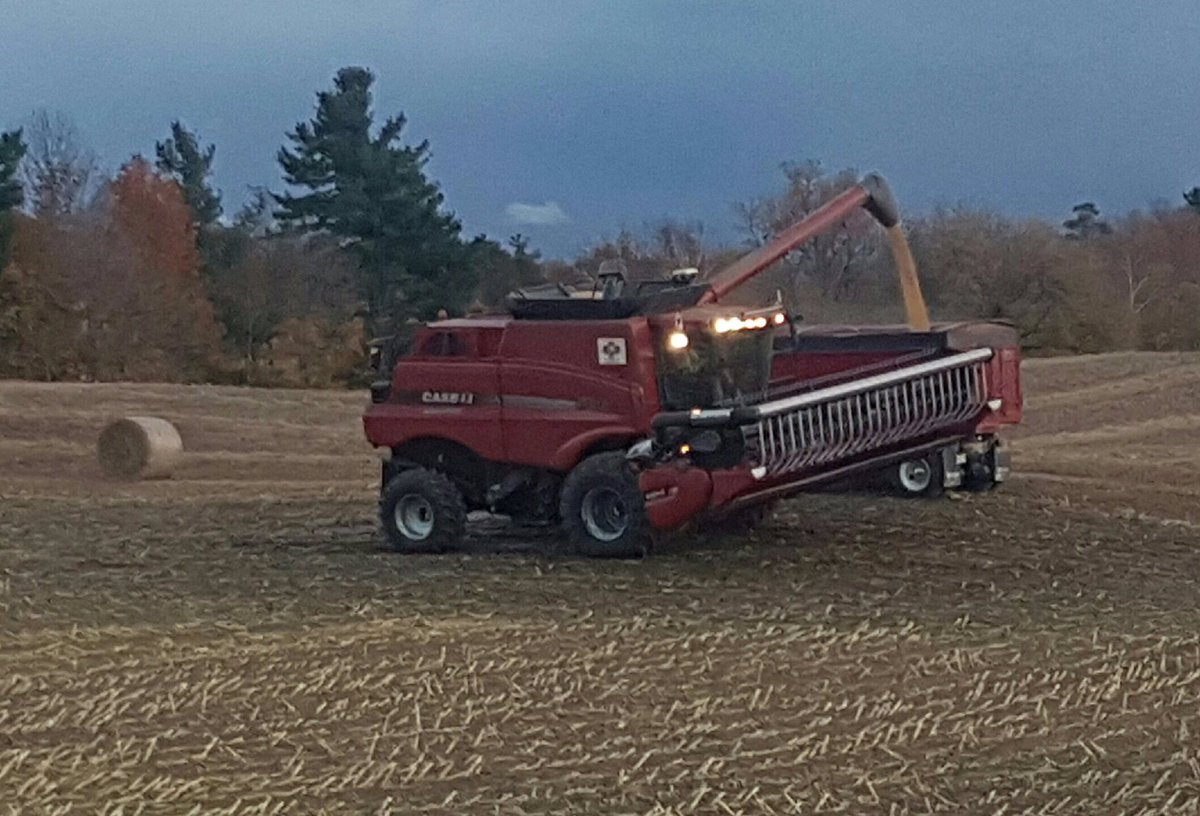 ihboy86's tweet photo. Fall pics!#Stoltzcustomerphoto #ontag #fromthefield https://t.co/3sEqfuZQ0L