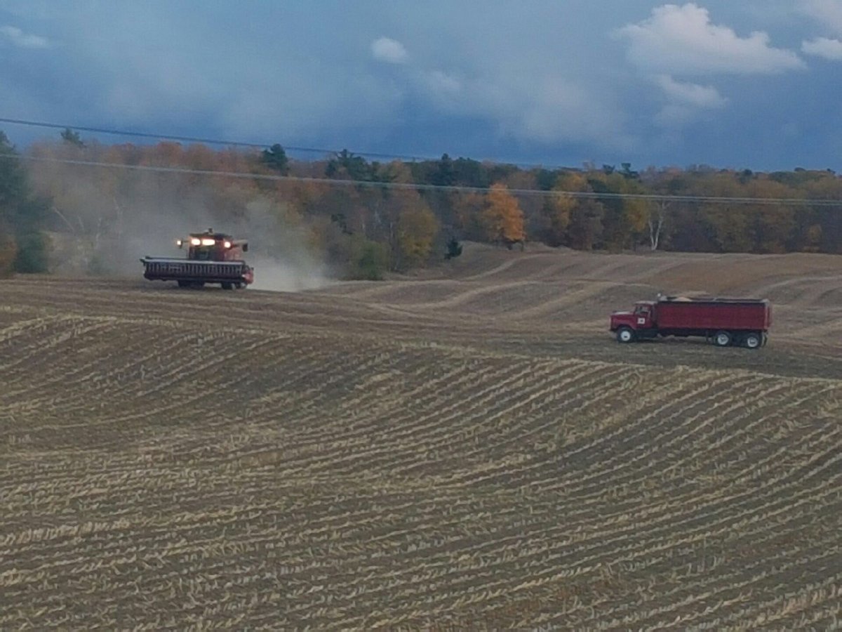 ihboy86's tweet photo. Fall pics!#Stoltzcustomerphoto #ontag #fromthefield https://t.co/3sEqfuZQ0L