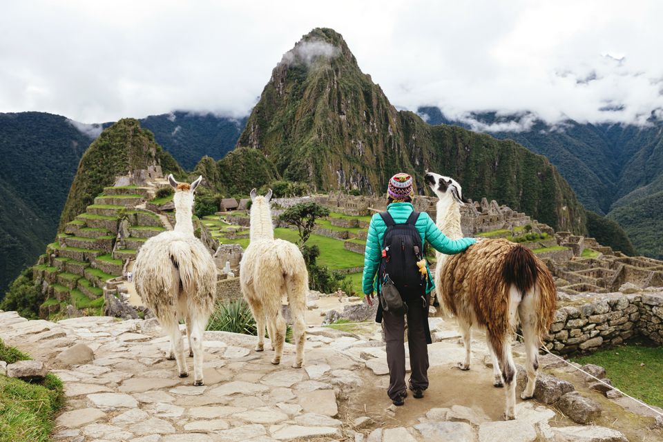 NetTravelWorld's tweet photo. 172.4/193 Tourist Attraction 193 Countrys #Peru 1⃣7⃣2⃣
MACHU PICCHU - THE BIG DAY! | Peru Travel Guide: Part 5 🤩🤩🤩✈️
#NetTravelWorld
#VDO
#VDO https://t.co/E3aGLJa0cs https://t.co/Axc07UmWCr