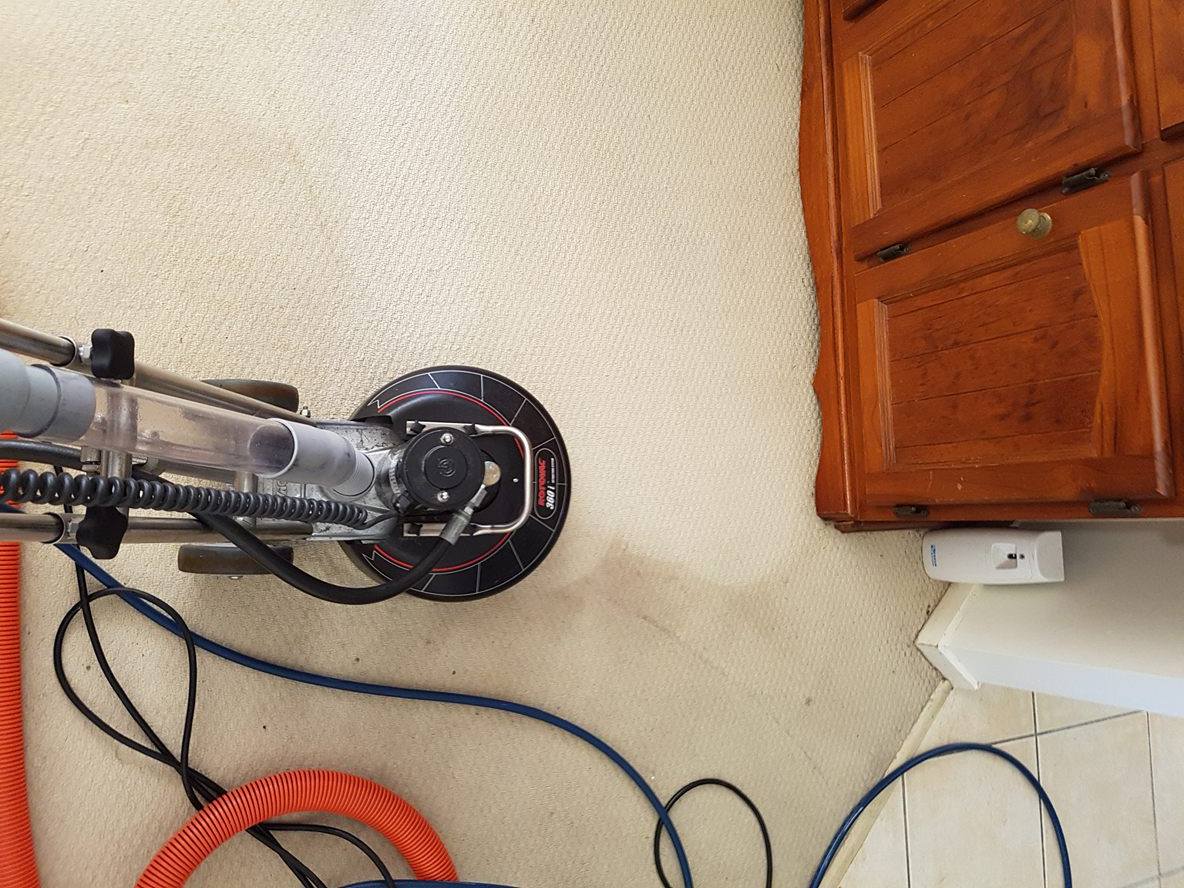 AndyRenete's tweet photo. Have you ever had your carpets ROTOVACED? This is a better method we use to not just clean your carpets, but also to help rejuvenate them. See the results for your self and you will be amazed. 
https://t.co/lJZCSncUPb
Call now for your ROTOVAC Experience 0433 065 780 https://t.co/f7t5welAq4