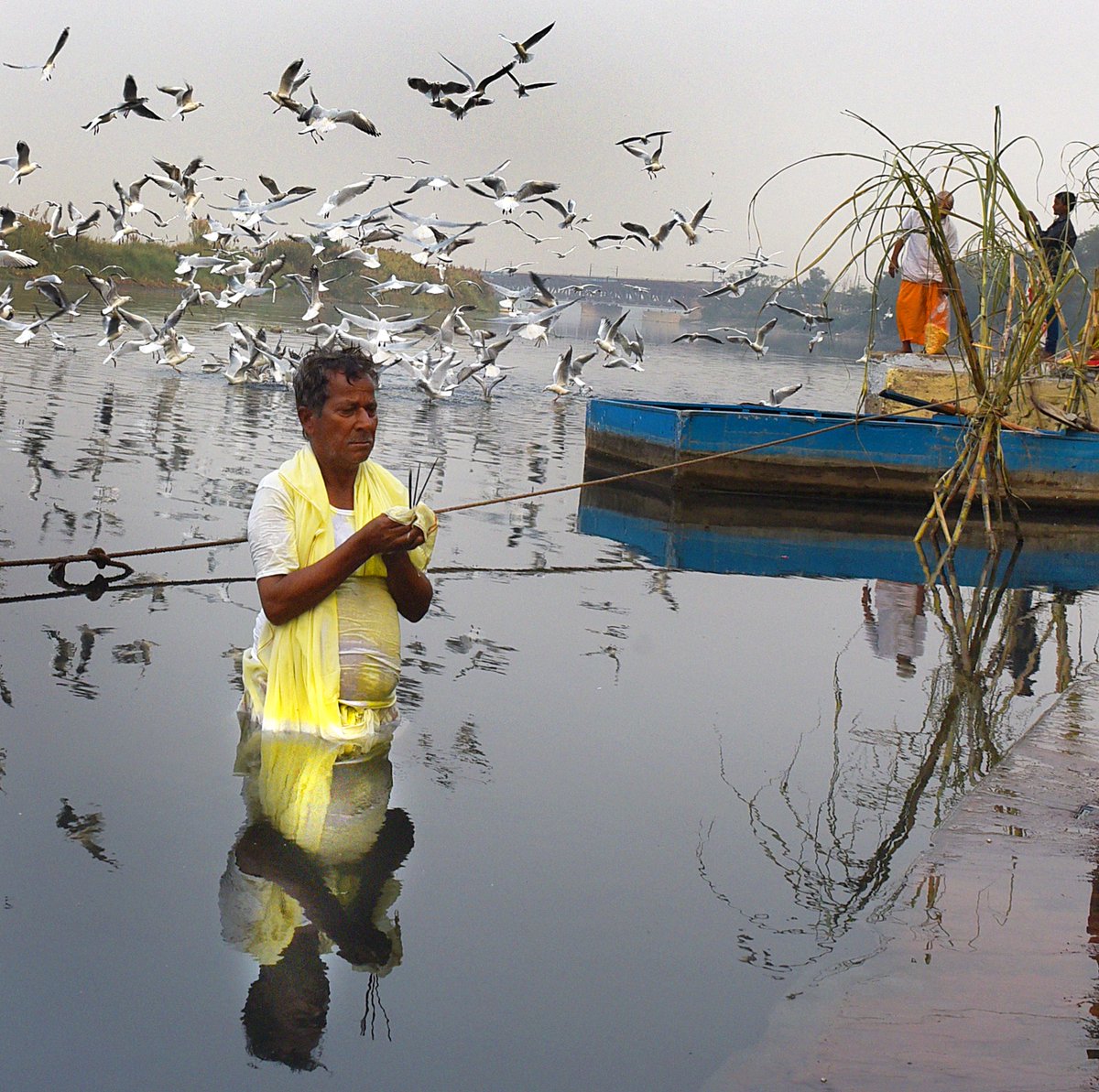 TOIDelhi's tweet photo. A man offers prayers at a #Yamuna ghat on #ChhathhPuja #Delhi
Photo: @ANINDYAtimes https://t.co/6xQobvD1Hu