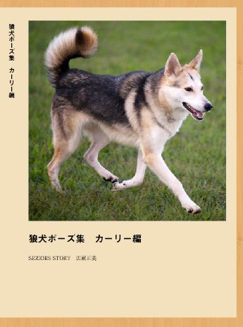 ヒロ マサミ 博物ふぇす多謝 Twitterren とりあえず いきもにあでの初売り 同人誌は 大口真神 狼犬ポーズ集カーリー編 グッズは 18wolfdogカレンダー ごまちゃんイラストメガネ拭き の予定ですが 間に合いそうならtシャツとトートバッグ いきも