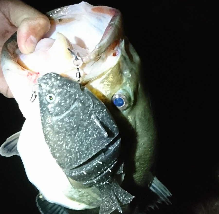 一誠のギルフラットスイマーのインプレ情報 ギルフラットと使い分けた使い方をしたい ワーム部