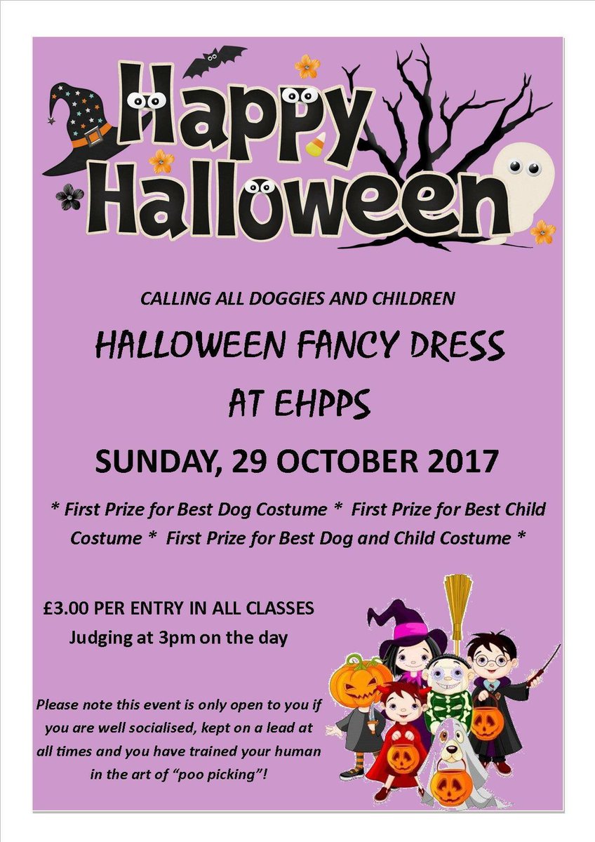 EssexHorsePony's tweet photo. #HalfTerm #Halloween fancy dress competition for kids & #dogs £3 entry. Judging at 3 pm Come & meet animals #Essex #Events #EssexTweets 🎃👻🐴 https://t.co/V7zFrgRTtv