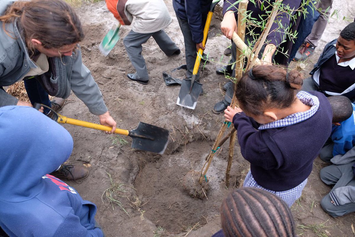 FirstChoiceSA's tweet photo. Highlights of today's #Move4Goodness tree planting with @greenpop , @BrentLindeque and Perivale Primary https://t.co/GYIJyl0hPl