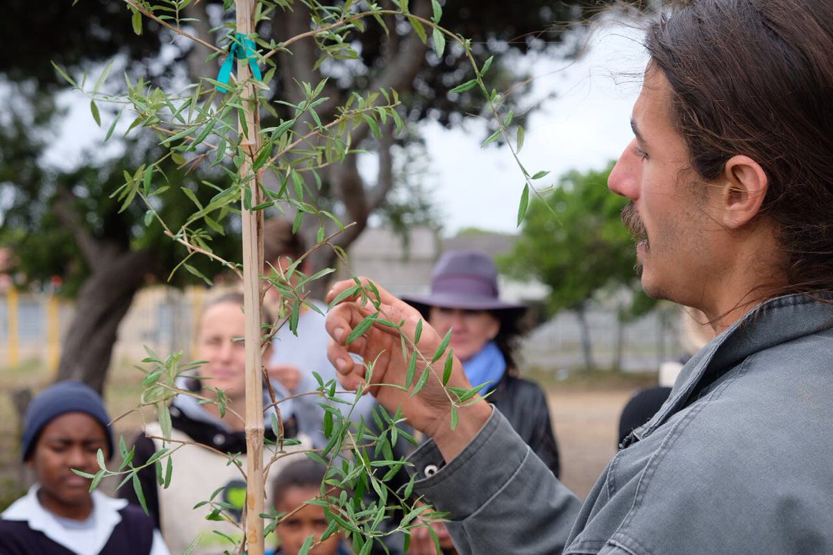 FirstChoiceSA's tweet photo. Highlights of today's #Move4Goodness tree planting with @greenpop , @BrentLindeque and Perivale Primary https://t.co/GYIJyl0hPl