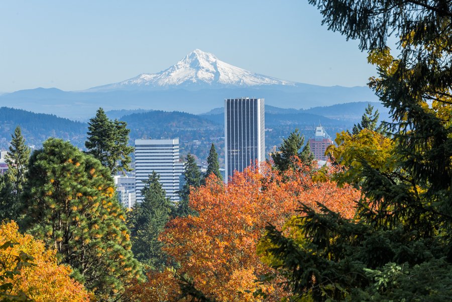 EllenEClark's tweet photo. It may be in the triple digits in Los Angeles, but it's fall at its finest in Portland, Oregon #satwportland https://t.co/mfPDBJH4tP