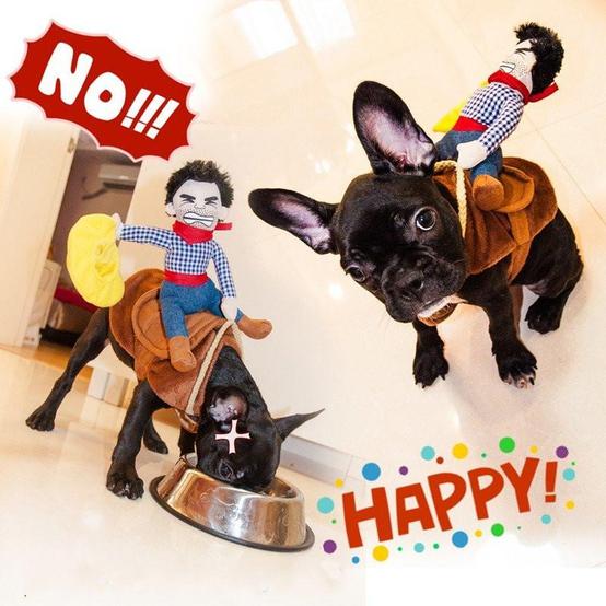 PetsBleu's tweet image. It’s #Halloween woo hoo! Take a trial of this cowboy horse riding #petscostume and give your pet a playful look! Only $36.99! #petstore