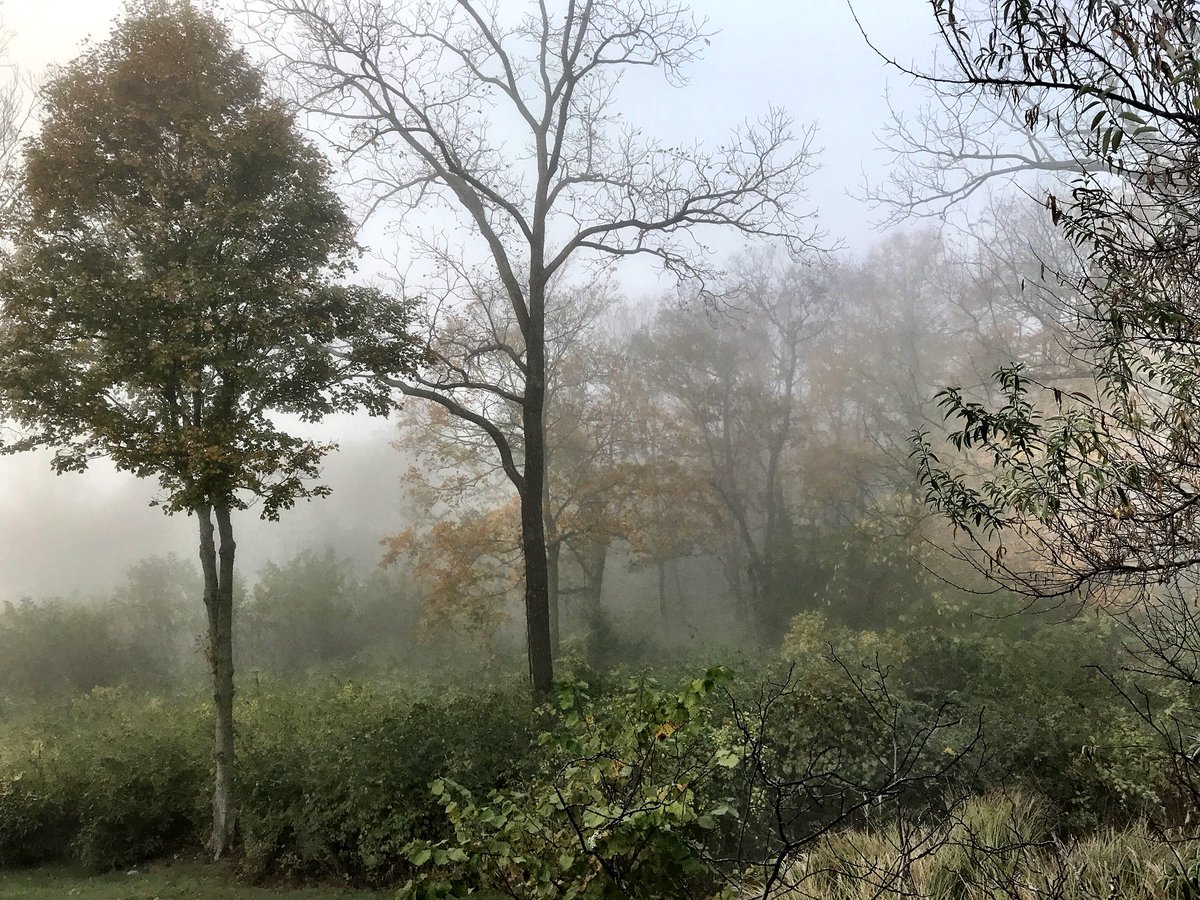 KathyLawler's tweet photo. Morning fog. #cincyskies https://t.co/iDUl2mowFY