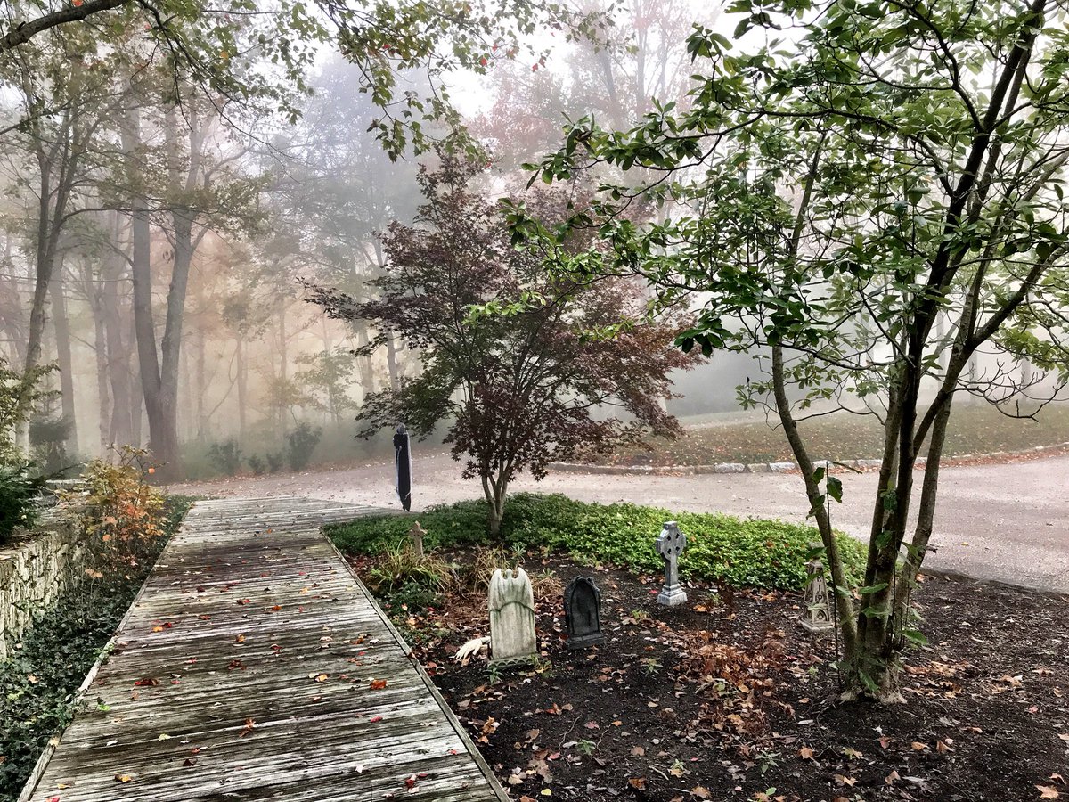 KathyLawler's tweet photo. Morning fog. #cincyskies https://t.co/iDUl2mowFY