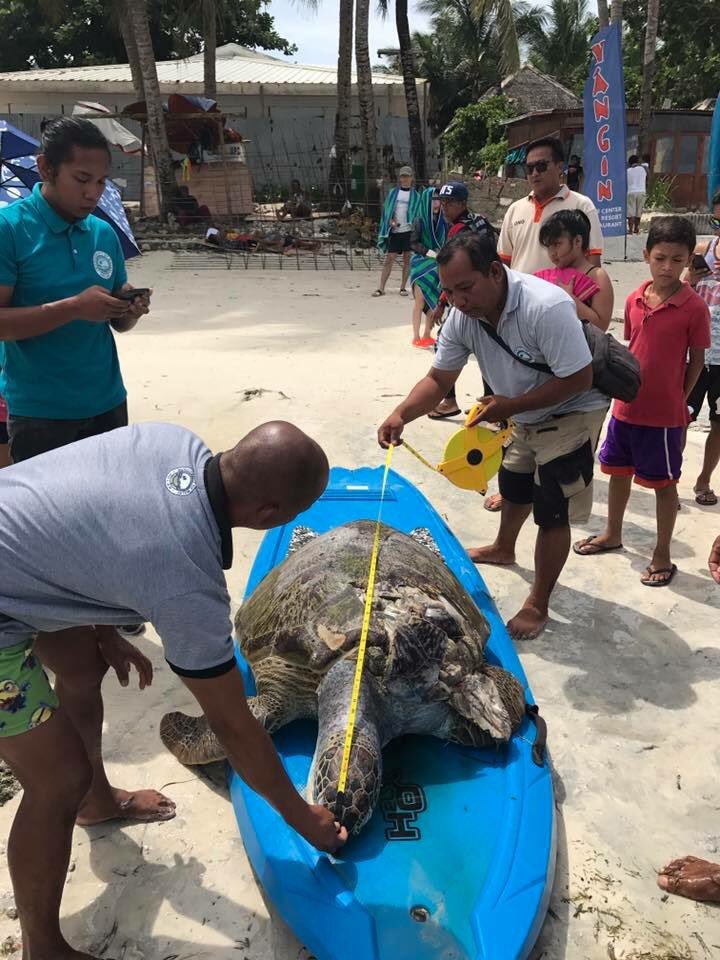 Elena Rigby (@rigby_elena) | Twitter