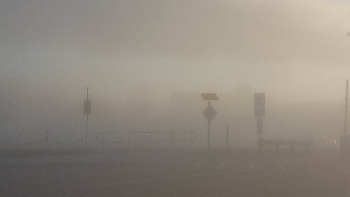 robe5030's tweet photo. Pretty foggy this morning. Almost as foggy as @Deb_Matthews understanding of the current situation @local350 #aBetterPlan #StandWithFaculty https://t.co/TJ8BoWggta