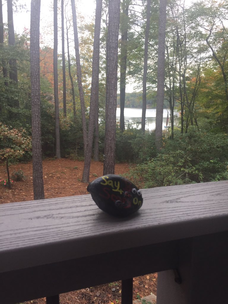 #esvarocksfb western shore corrotoman river