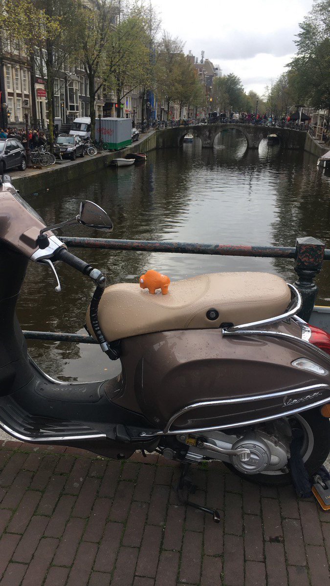 Yak_Adventure's tweet photo. Yak has been on his travels and had a lovely trip to the gorgeous city of Amsterdam! Where has your Yak been! #WheresYakAt https://t.co/N8AiN46voW