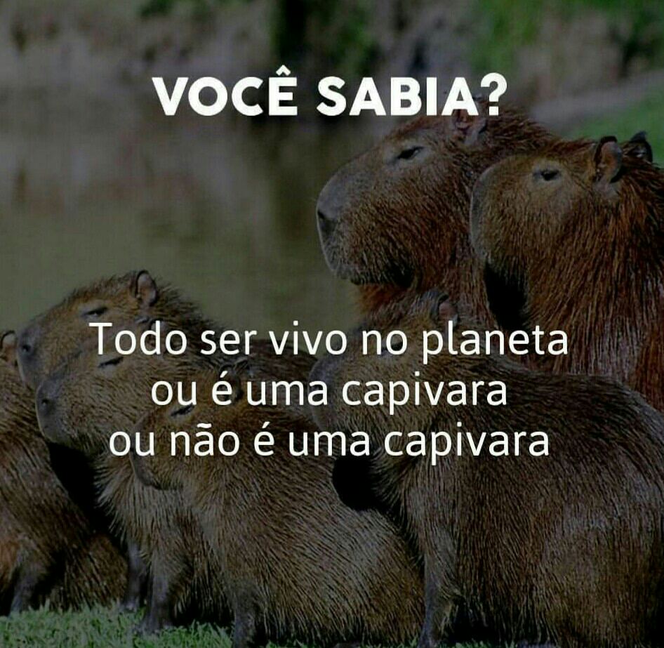 SungaGamer's tweet photo. #ToPrecisandoDe mais zoação #FimDeAnoEuQuero ser uma capivara #QuintaDetremuraSDV #QuintaComTisunamiSDV
Pretendo fazer MTS desse tipo https://t.co/V7a2MP33gS