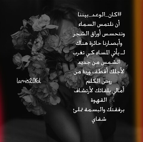 #كان_الوعد_بيننا 
أن نلتمس السماء
ونتحسس أوراق الشجر
وأبصارنا حائرة هناك
لـ يأتي المساء كي تغرب
الشمس من جديد
#لميس
#هلوسة
#رضاب_الحرف