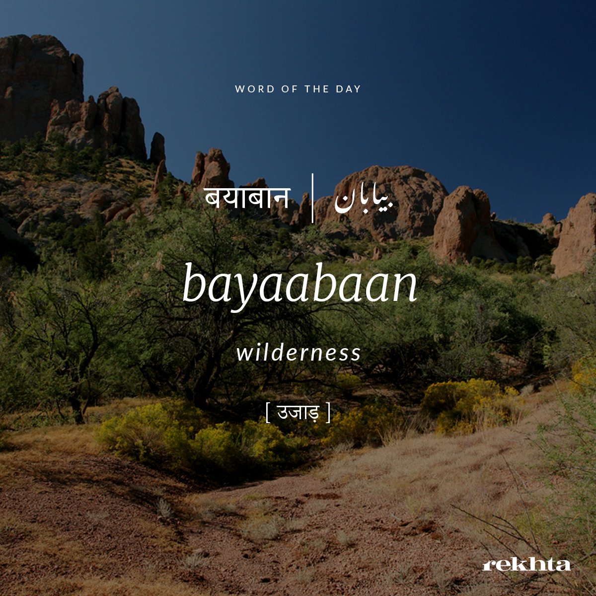 Rekhta's tweet photo. #WordoftheDay
#Bayaabaan : Wilderness https://t.co/gywEwSvswu