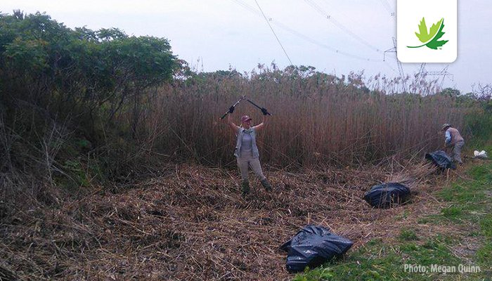 NCC_CNC's tweet photo. Volunteering for @NCC_CNC feels like coming home https://t.co/q2jVN29Kzj via #LandLines https://t.co/Ju3HbmZh8N