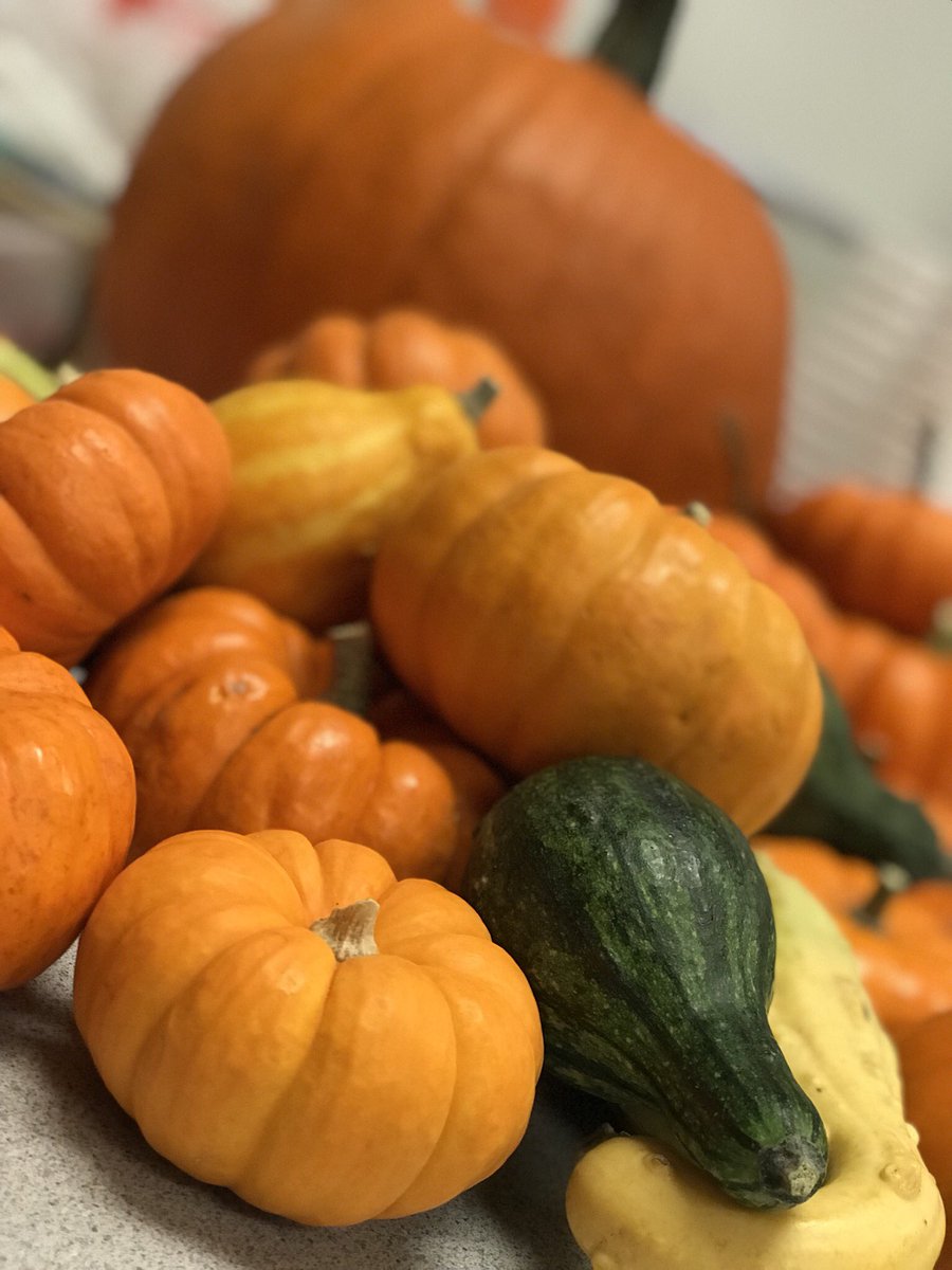 Cuevas_MRE's tweet photo. Ready for pumpkin day! https://t.co/YoU4q5OelD