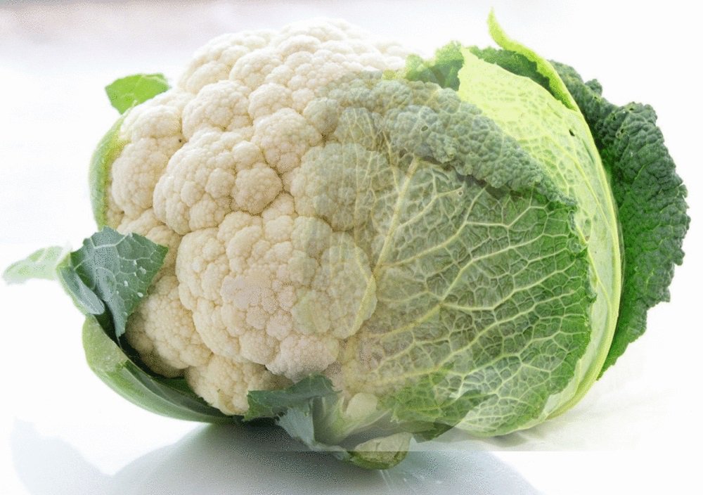 ppixdc's tweet image. #dbtimesdraw - SPOILER !!! LOL