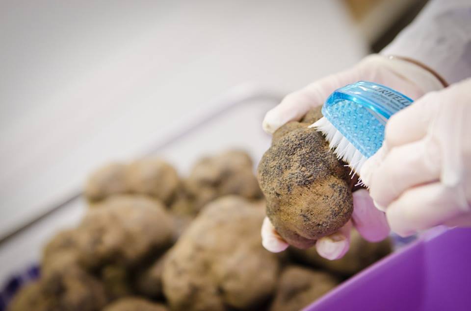 The truffle cleaning process is extremely delicate.
We take care to every step, to garantee a unique and high quality product.