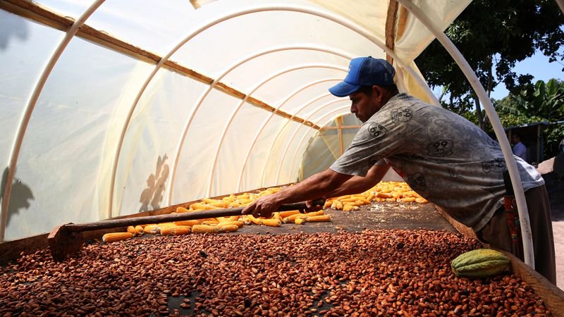 Lynette Mathews tweet media