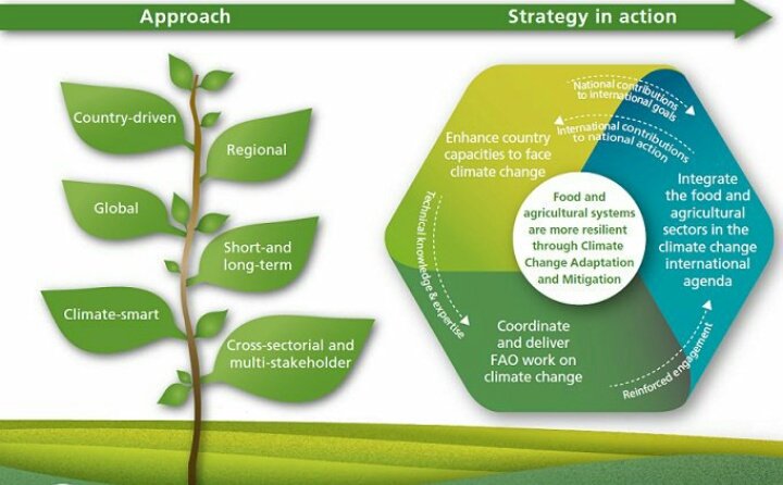 syedatayaba071's tweet photo. A setup towards sustainability.
#Future Menu #The Big Shift
#The food security #Agricoforms https://t.co/aIUF6tDT1F