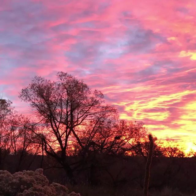 PaceBiking's tweet photo. Rise and shine Colorado by @beljen1023 🌅🙏🏼❤️ https://t.co/9LltHVg2pO https://t.co/zlmXTOS4Rh
