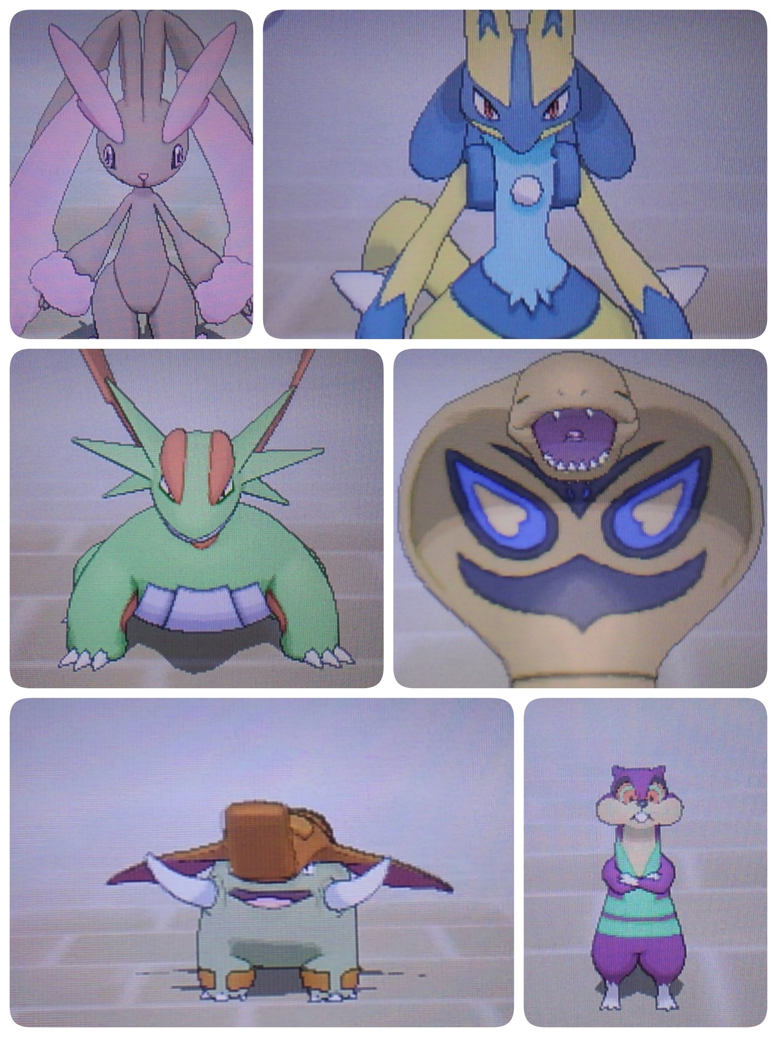 エルフーン 閻魔ろう Poke Minor Twitter