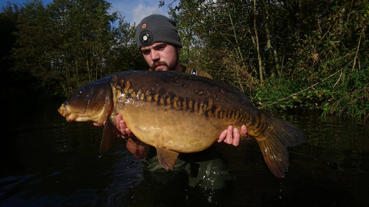 craigcarpman92's tweet photo. After non stop work and no fishing quick over nighter resulted in this 23lber milky amino and bnb snow man style did the job @NorthernBaits https://t.co/S3iNVZ9LXm