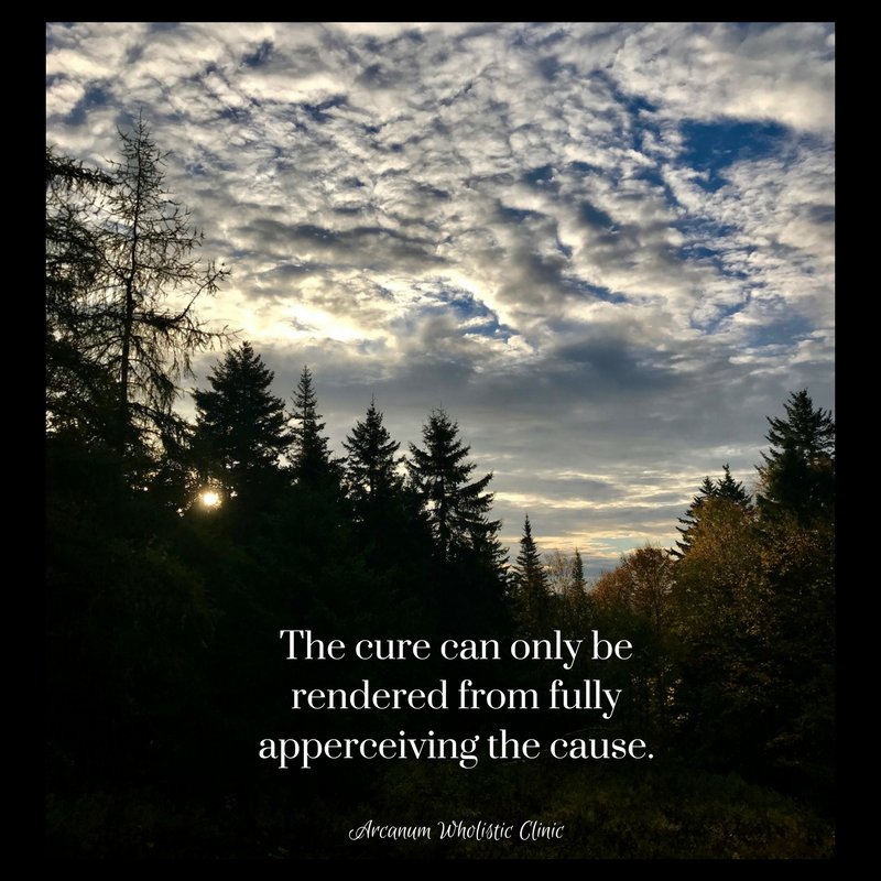 amcquinn's tweet photo. You can't have one without the other #likecureslike #rootcause #apperception #apperceiving #rendercure #lawofnature #heilkunst #noharm https://t.co/2l4rUUByqh