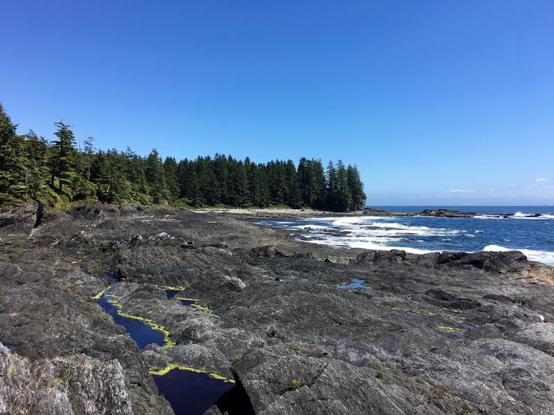 TravelTalesLife's tweet photo. The ultimate #VancouverIsland guide: 40 things to see &amp; do via @PhenomenalGlobe #Canada https://t.co/oBjw3H8lIw https://t.co/blfqTb86us