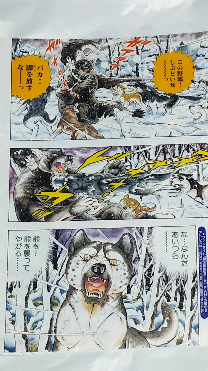 DNEg6H1V4AMvVMH.jpg?format=jpg