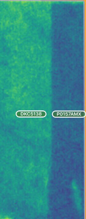 RedRiverMktgCo's tweet photo. #P0157 flexing its muscles again..
customer sent a screen shot of DK vs 0157... plant health matches yield map.
@PioneerMN @Asgrow_DEKALB https://t.co/nZQhHu322g