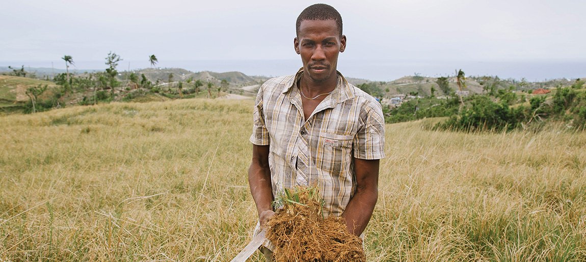 IFF's tweet image. See how #VetiverTogether is helping #Vetiver farmers in Haiti ow.ly/jPU330g90BZ  #wecreatethefuture #Ingredients #LMRNaturals