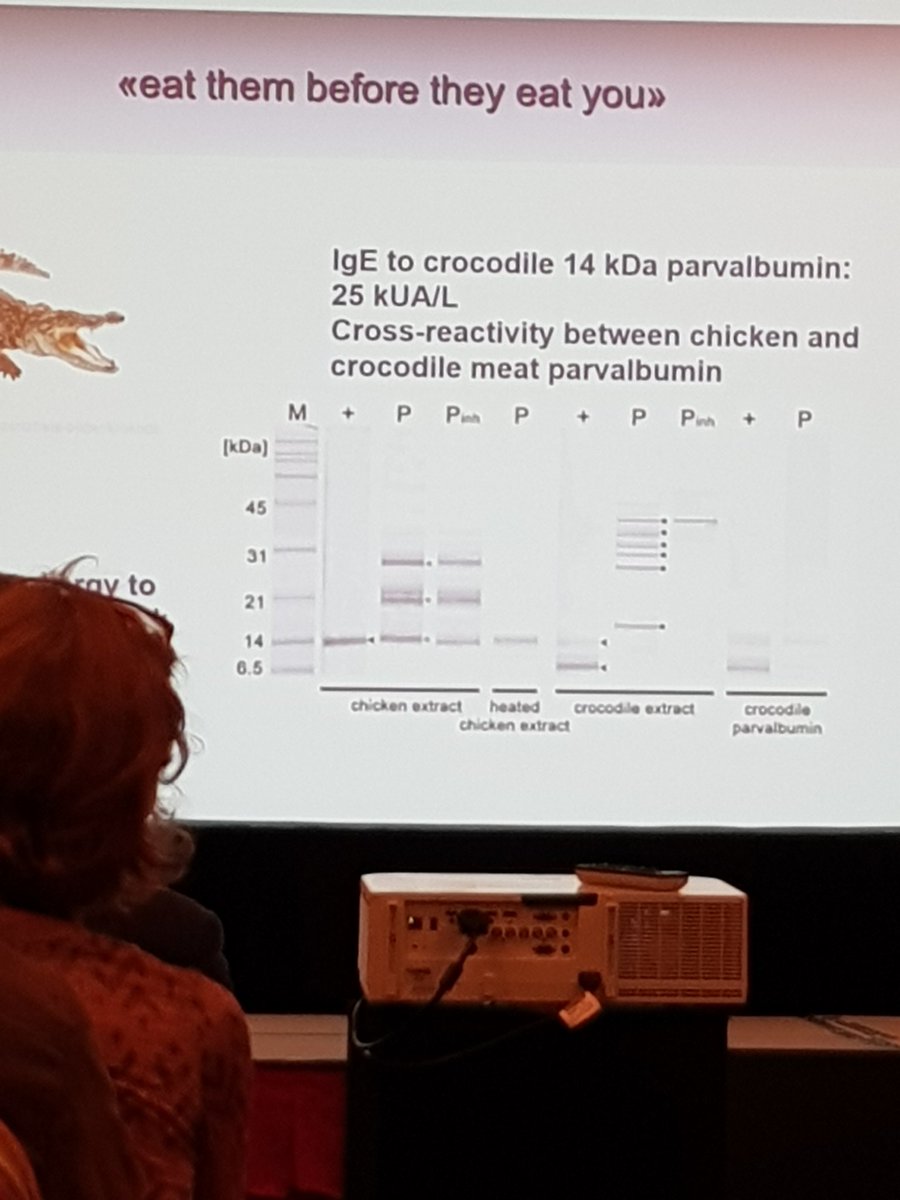 Allergy Nurse tweet media